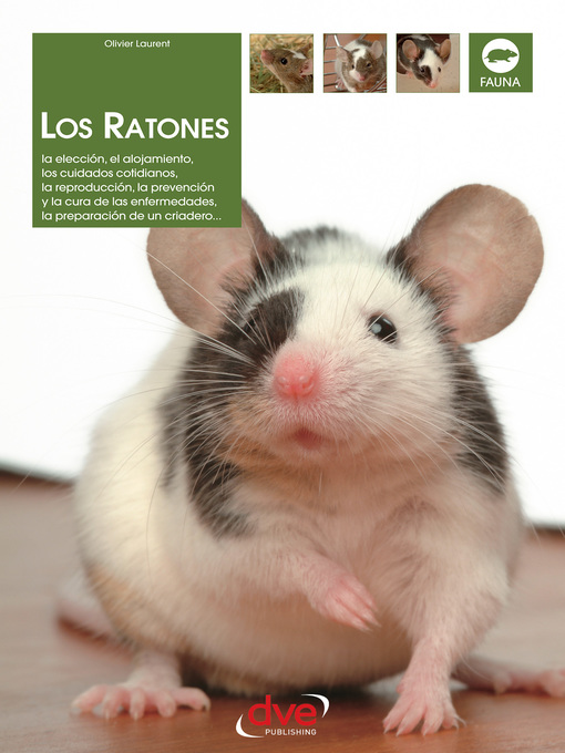 Title details for Los ratones by Olivier Laurent - Available